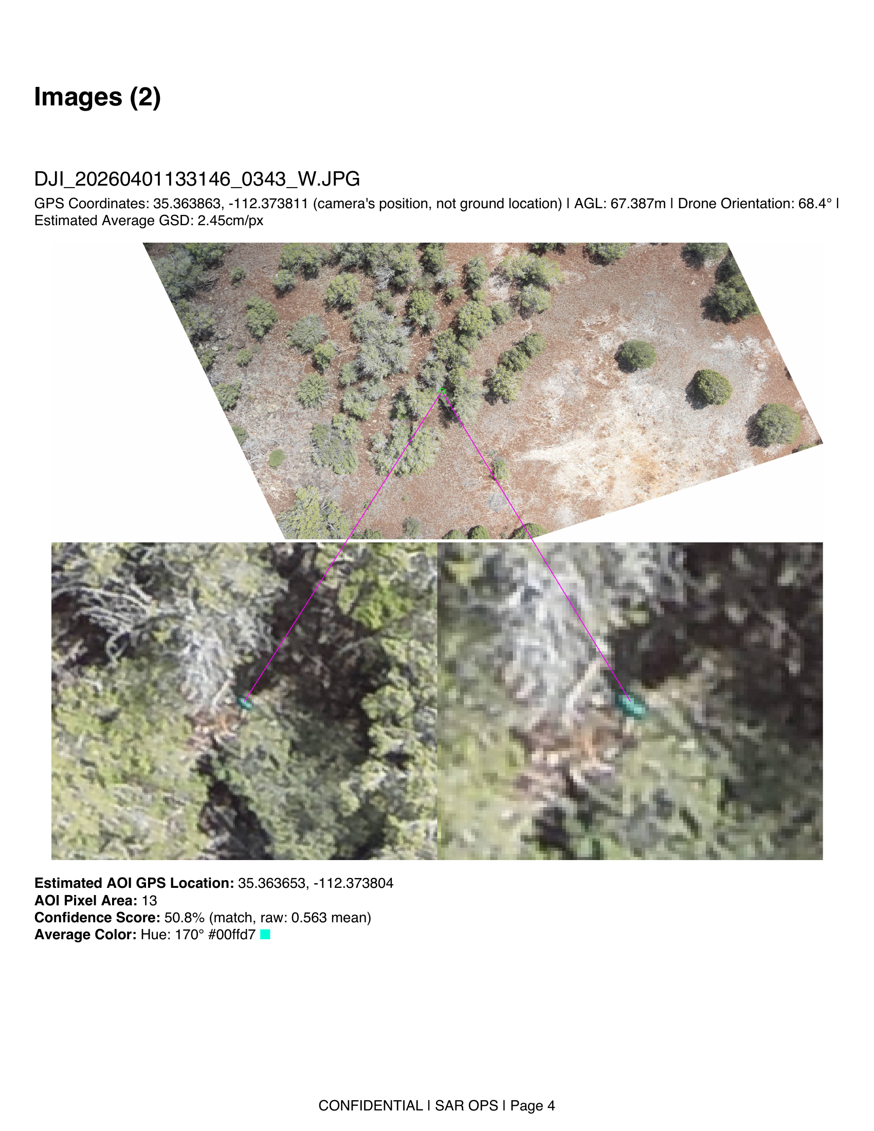 ADIAT color detection example showing drone image with zoom-in on detected object